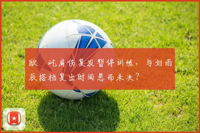 欧烜屹肩伤复发暂停训练，与刘雨辰搭档复出时间悬而未决？