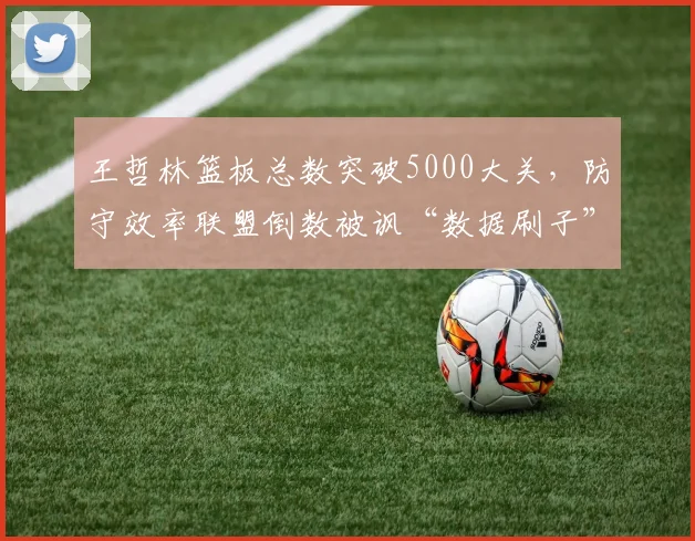 王哲林篮板总数突破5000大关，防守效率联盟倒数被讽“数据刷子”